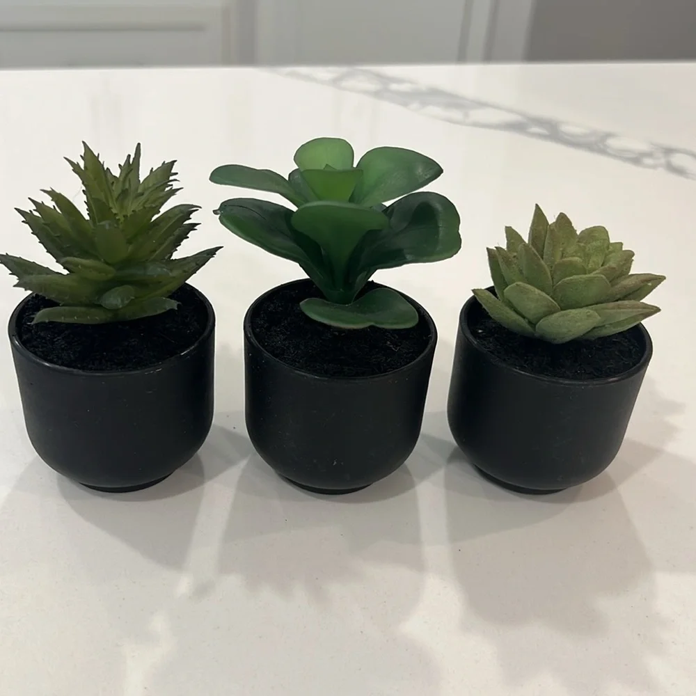 🌿Cute. Mini Plants 3pc